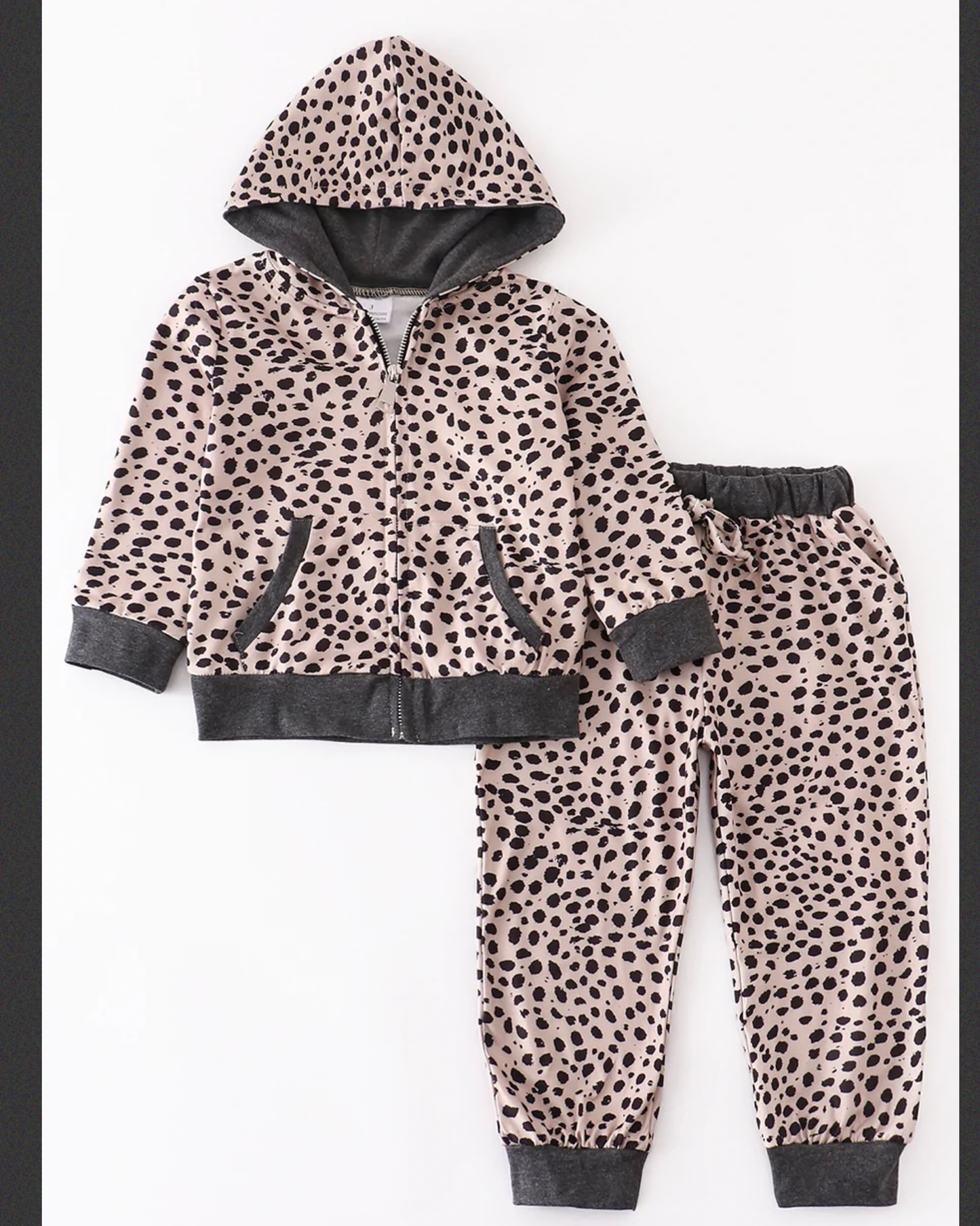 Leopard Print Hoodie Jogger Outfit